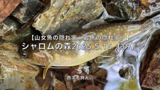 【フライフィッシング】釣れたことより、感心したこと。 