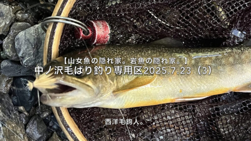 【フライフィッシング】竿抜けポイントにロックオン！ 