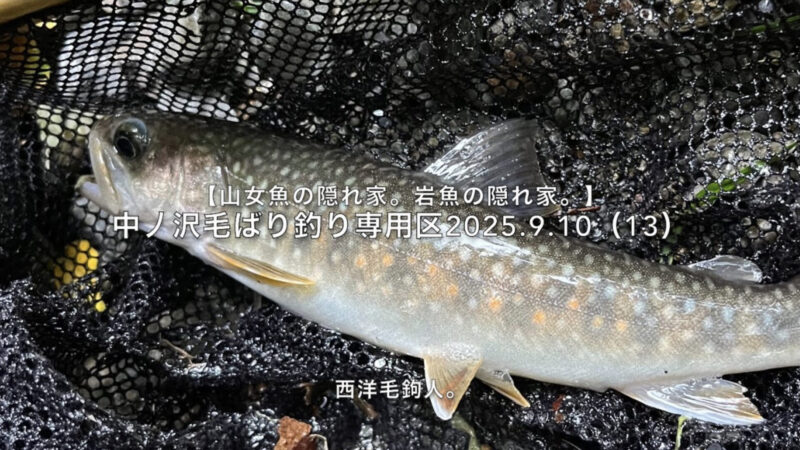 【フライフィッシング】上達の余地アリ！っと再確認。 