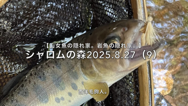 【フライフィッシング】とりあえず・・・これが勝敗を分ける。 