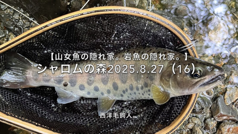 【フライフィッシング】いかにも・・・って場所から出た！ 
