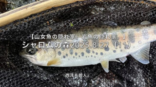 【フライフィッシング】ピッタリ条件でも、こんなもんか・・・。 
