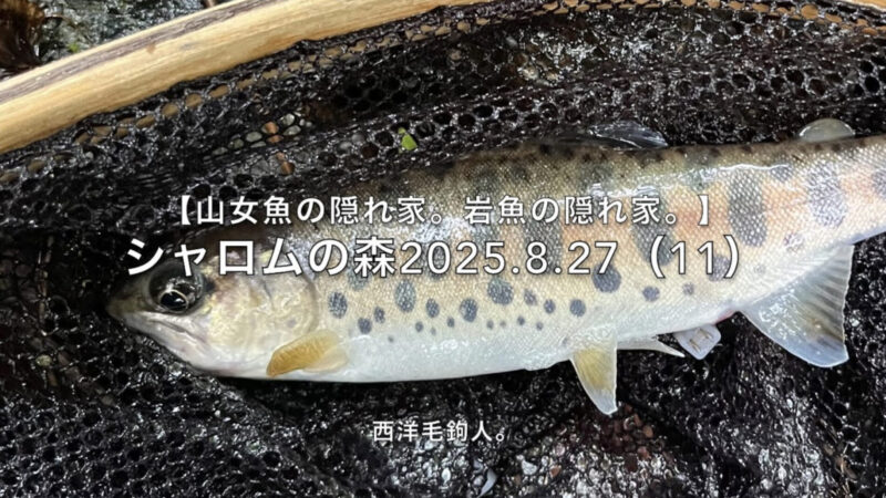【フライフィッシング】ピッタリ条件でも、こんなもんか・・・。