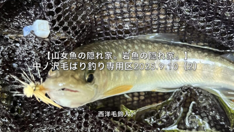 【フライフィッシング】増水で避難している渓魚を狙う!