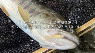 【フライフィッシング】増水だと、釣り人の考えることは同じ。 