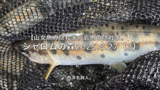 【フライフィッシング】スラック・・・よりロッドを持ち上げただけ?