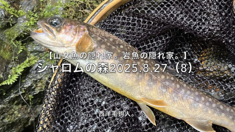 【フライフィッシング】流芯と繋がる水たまりには、岩魚。