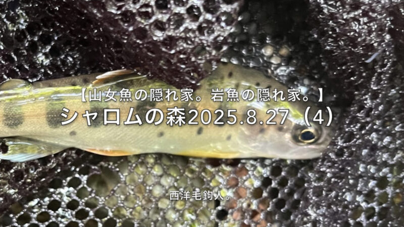 【フライフィッシング】右腕が勝手にアワセを入れてしまう。