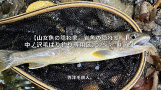 【フライフィッシング】異常なくらいの警戒心・・・そりゃ、生き残るわけだ。 