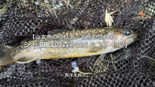 【フライフィッシング】大きなポイントは、最下流を釣ってから・・・。 