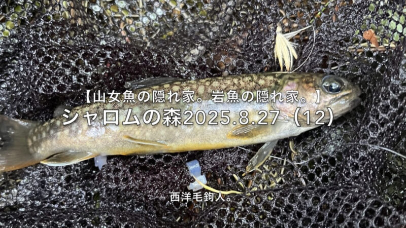 【フライフィッシング】大きなポイントは、最下流を釣ってから・・・。