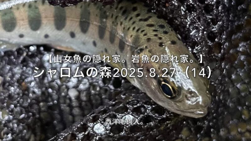 【フライフィッシング】できるだけ長時間毛鉤を水面に漂わせておくのが、基本！ 