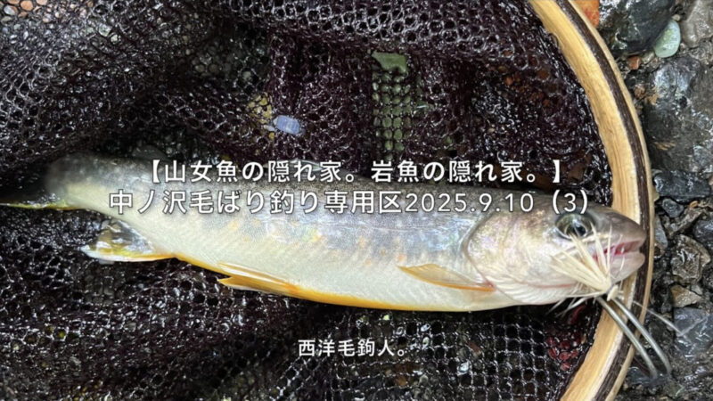 【フライフィッシング】今年の上野村釣行最終日！ 