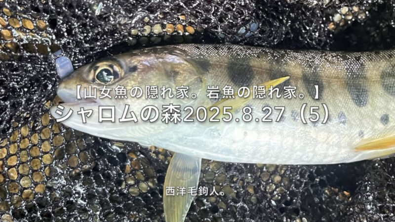 【フライフィッシング】ストマックはしない。