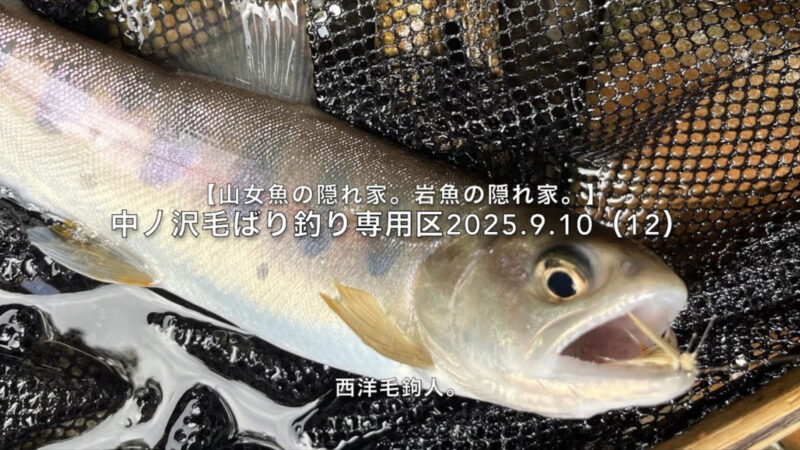 【フライフィッシング】岩魚アワセでは、山女魚に対応できない。 