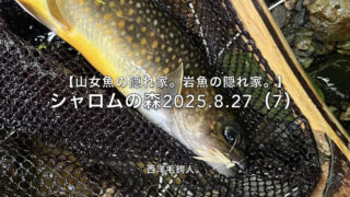 【フライフィッシング】倒木付近でも警戒心の高低によって潜んでいる場所が違う！？ 