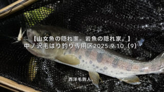 【フライフィッシング】逃げられまくった末の1匹！ 