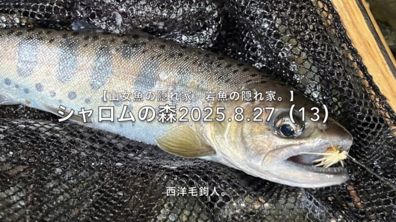 【フライフィッシング】緩流帯のど真ん中で勝負！ 