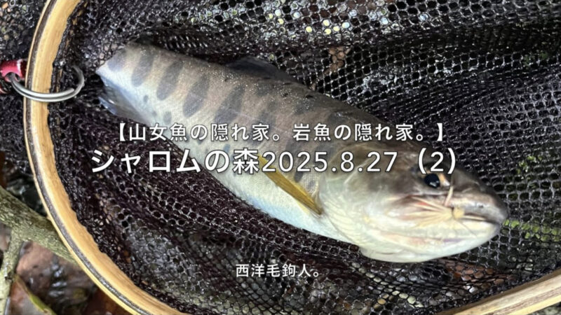 【フライフィッシング】チビの猛攻がある時は、教科書通りのポイントを狙う!