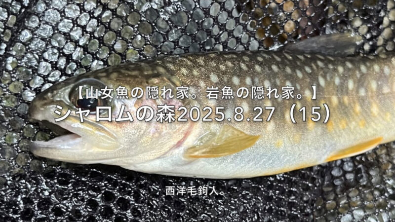 【フライフィッシング】緩流帯にこそ、大量のスラックを入れる。