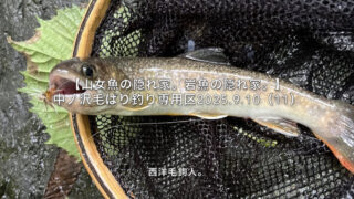 【フライフィッシング】おまけ沢？は、油断禁物！ 