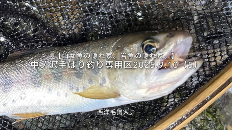 【フライフィッシング】山女魚の反応にシーズン終了間近を感じる。 