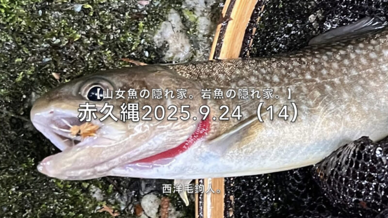 【フライフィッシング】先行者がいても、教科書通りのポイントからも釣れる!