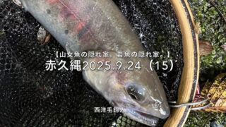 【フライフィッシング】食欲旺盛・・・そろそろペアリング？ 