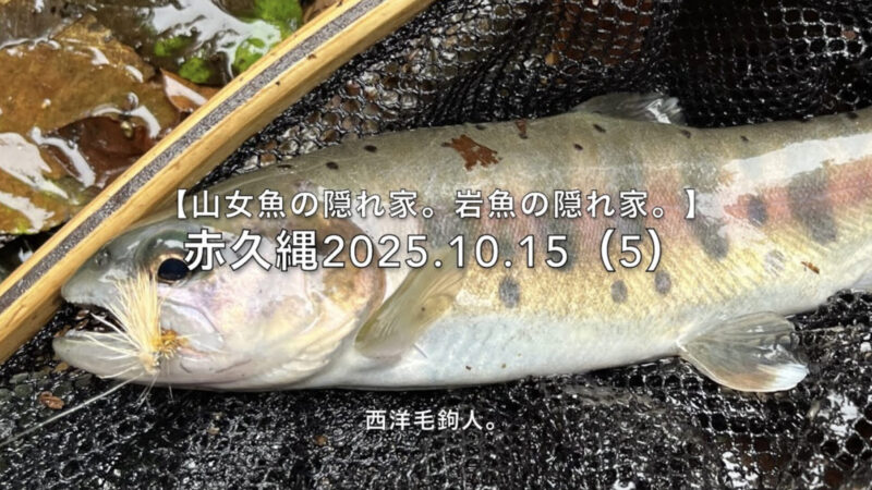 【フライフィッシング】釣りにくいポイントでも、喰いが浅い？ 