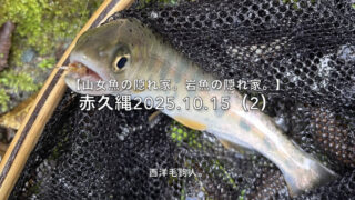 【フライフィッシング】ゆっくりは、アプローチの基本。