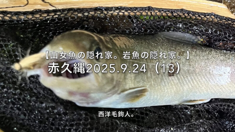 【フライフィッシング】テンカラペアが釣った直後だが・・・釣れる!
