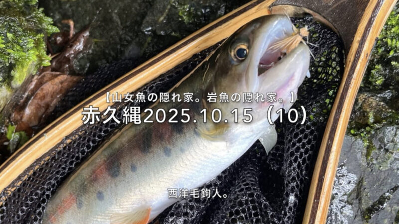 【フライフィッシング】魚種の予想が当たると、アワセが決まる!