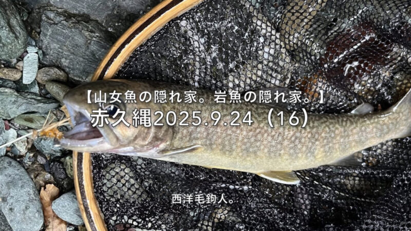 【フライフィッシング】山女魚は先行者に釣られている?