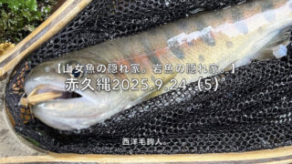 【フライフィッシング】期待の大場所チャレンジ！ 