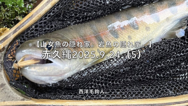 【フライフィッシング】期待の大場所チャレンジ！ 