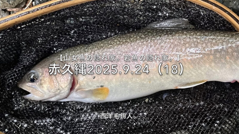 【フライフィッシング】山女魚アワセと岩魚アワセの使い分け。