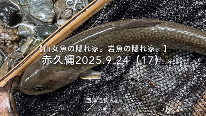 【フライフィッシング】ワイルド化した岩魚と対峙する!?