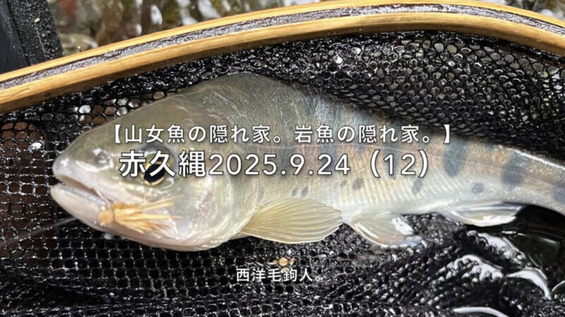 【フライフィッシング】釣欲なくキャストすると・・・。 