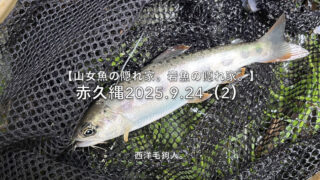【フライフィッシング】最初はいつも釣欲マシマシ！？ 