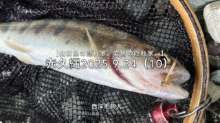 【フライフィッシング】チビ山女魚でも嬉しい時。 