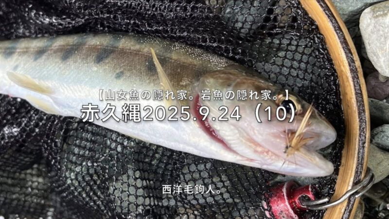 【フライフィッシング】チビ山女魚でも嬉しい時。 