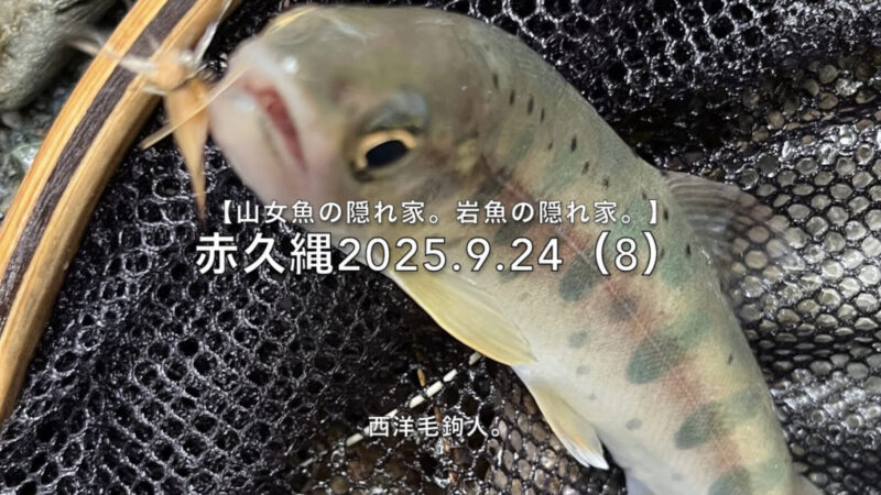 【フライフィッシング】先行者5人以上・・・アワセはトップスピード！ 