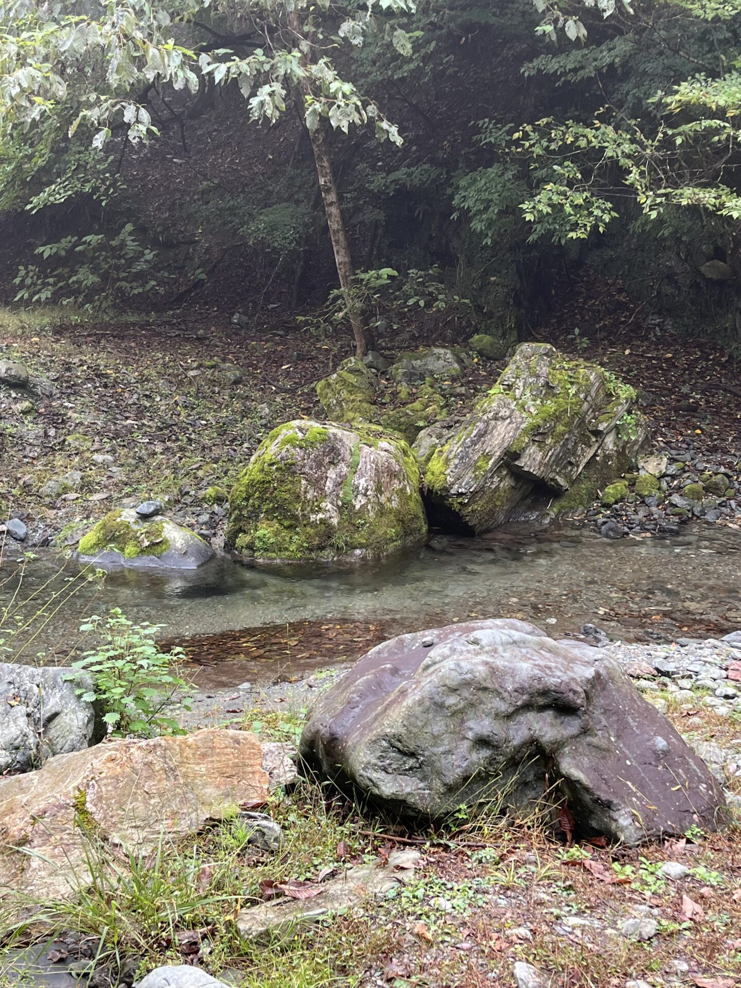 水位
赤久縄
2025.10.15
