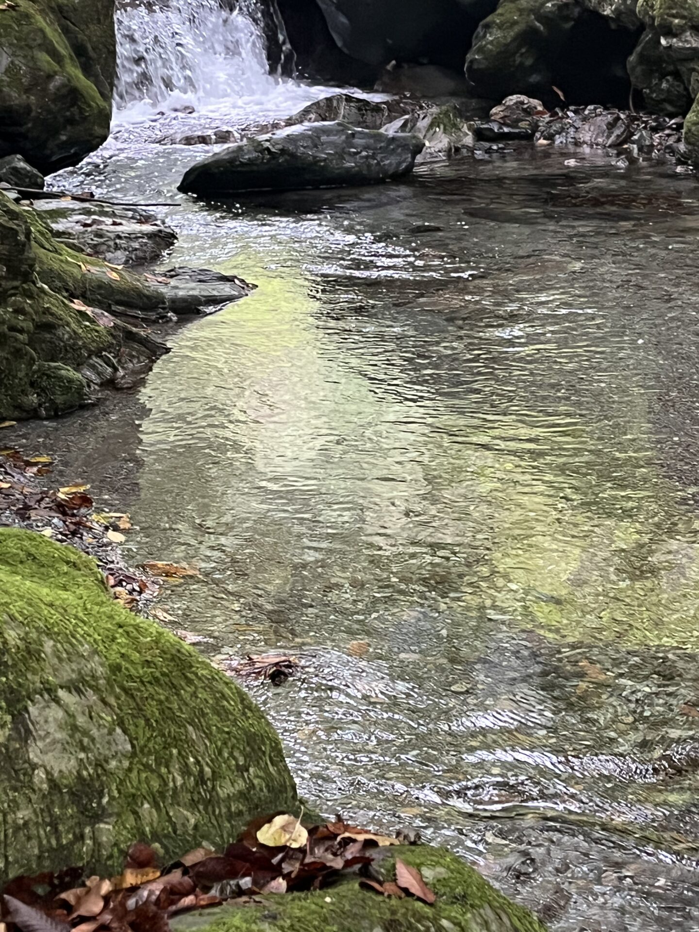 【山女魚の隠れ家。岩魚の隠れ家。】赤久縄2025.10.15（24）
岩魚
14:02
ポイント