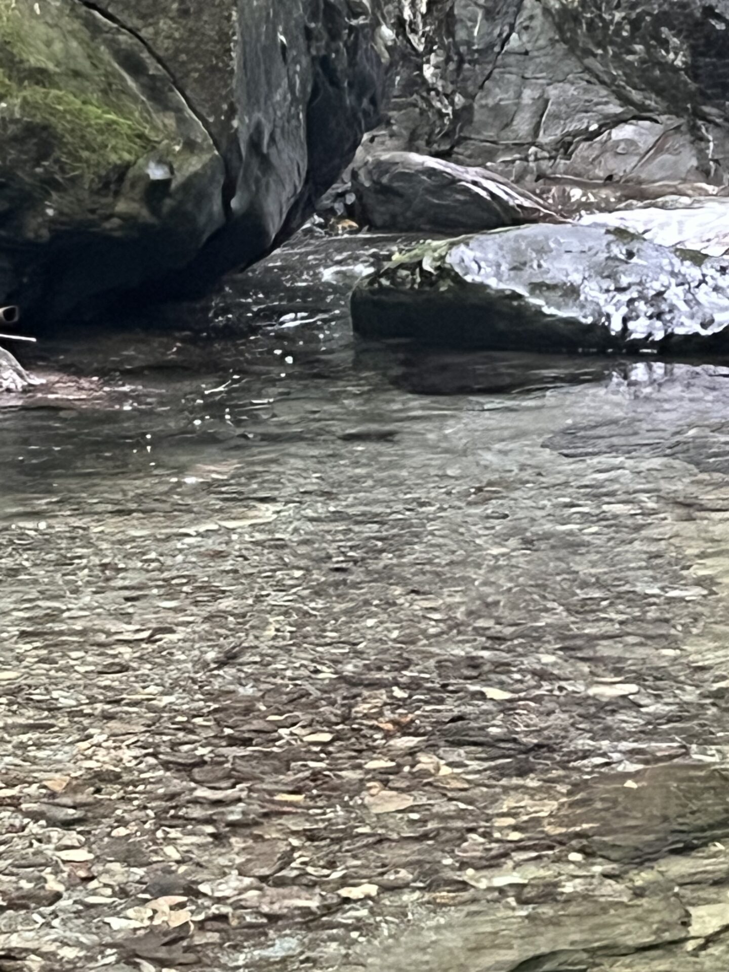 【山女魚の隠れ家。岩魚の隠れ家。】赤久縄2025.10.15（25）
岩魚
14:12
ポイント
