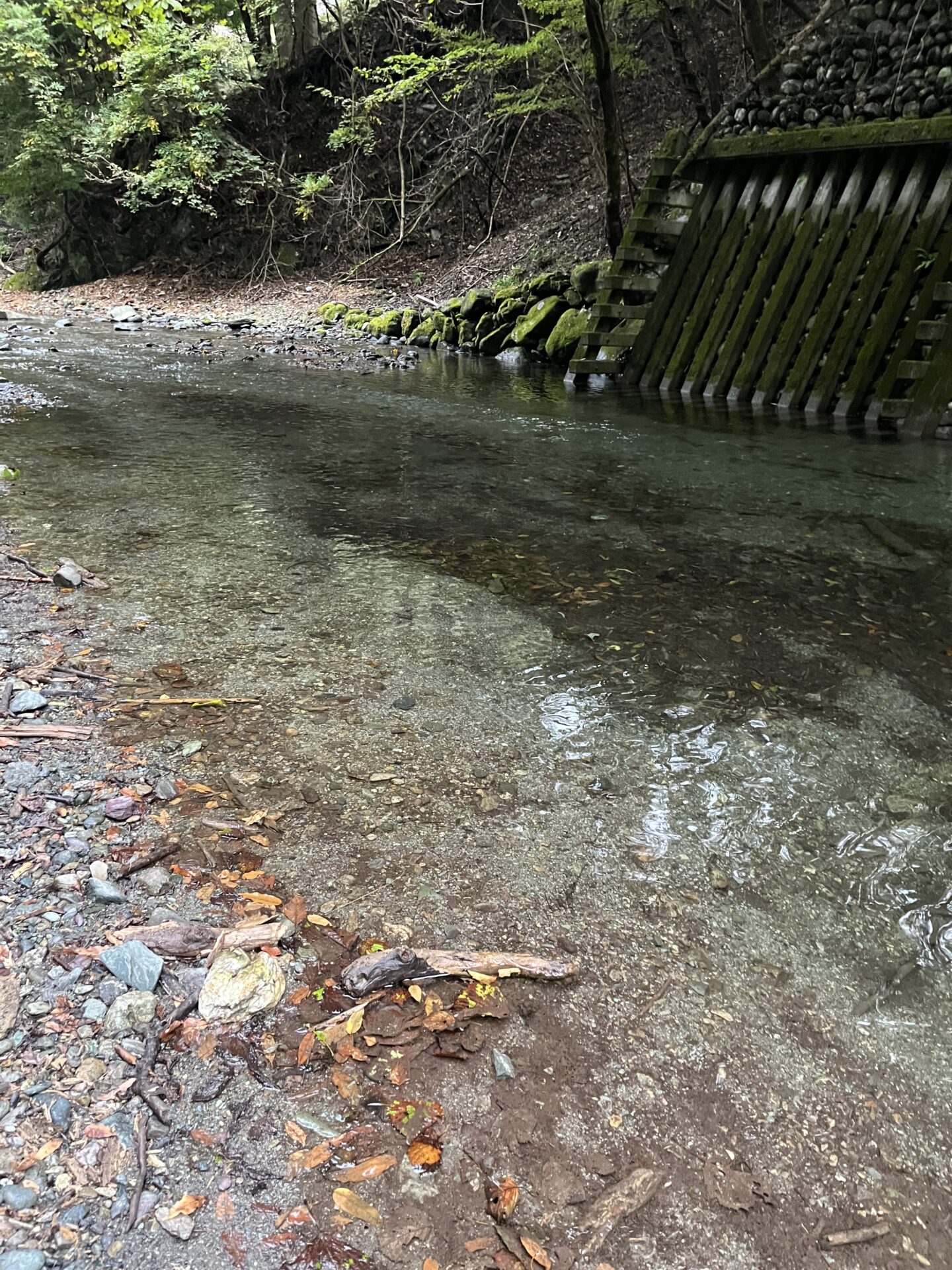 【山女魚の隠れ家。岩魚の隠れ家。】赤久縄2025.10.15（33）
ニジマス
16:17
ポイント