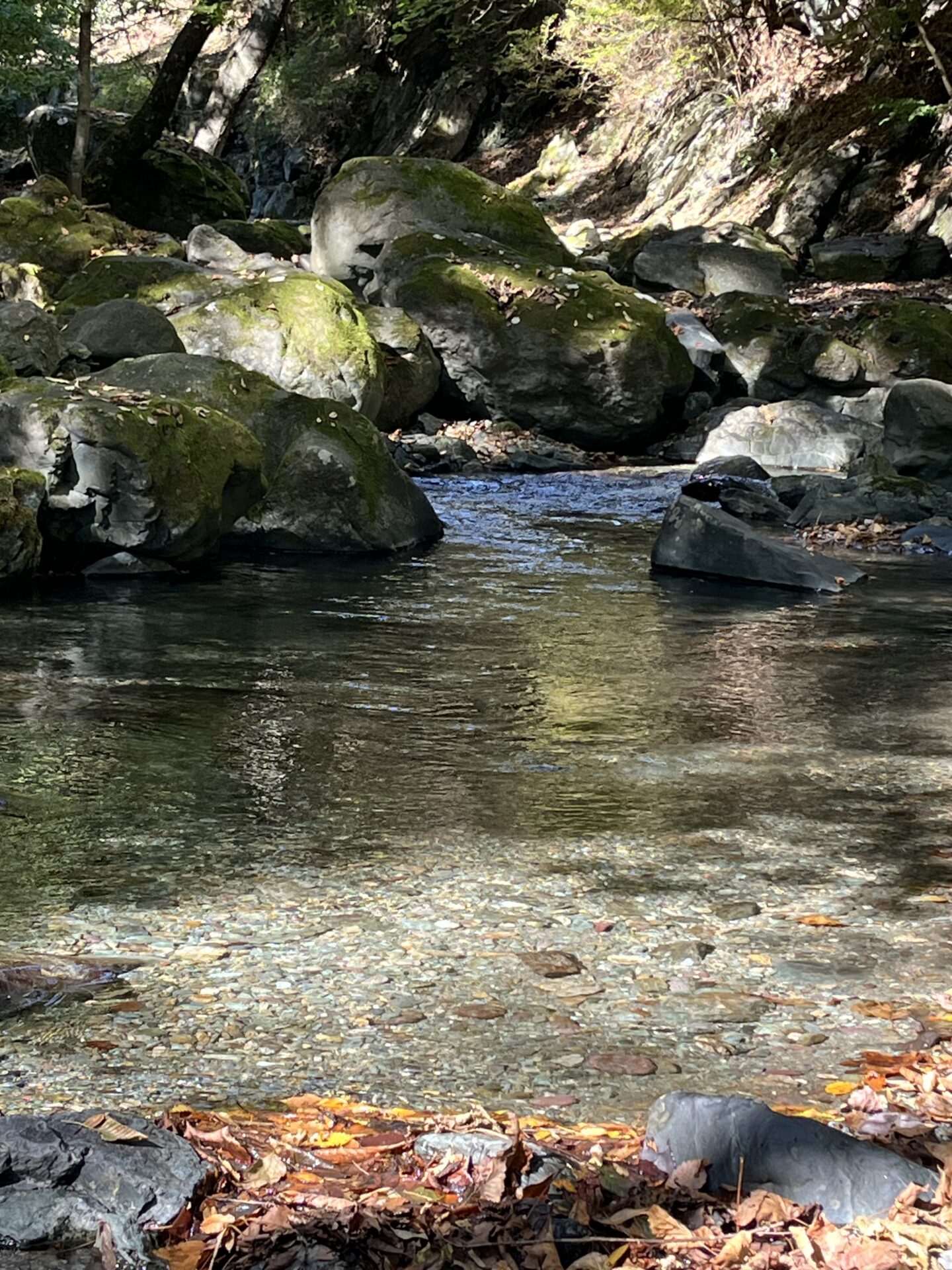 ポイント
山女魚
赤久縄
2025.10.29
10:19