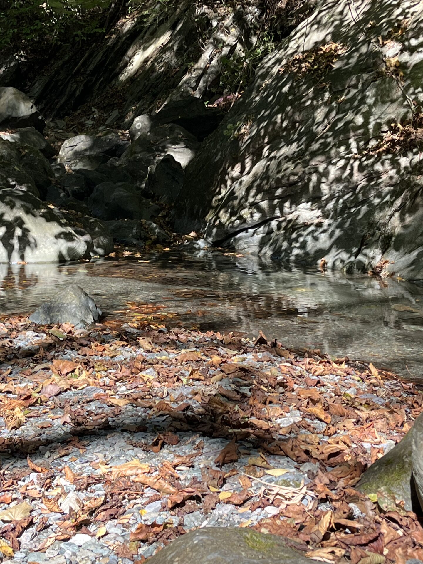 ポイント
山女魚
赤久縄
2025.10.29
10:23