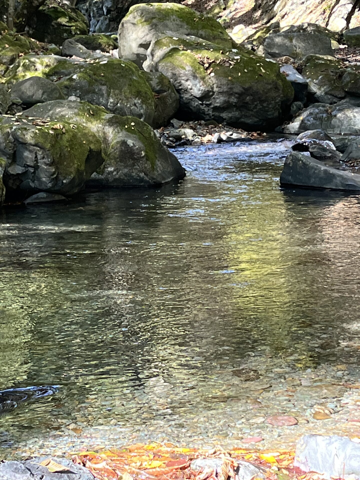 ポイント
山女魚
赤久縄
2025.10.29
10:29