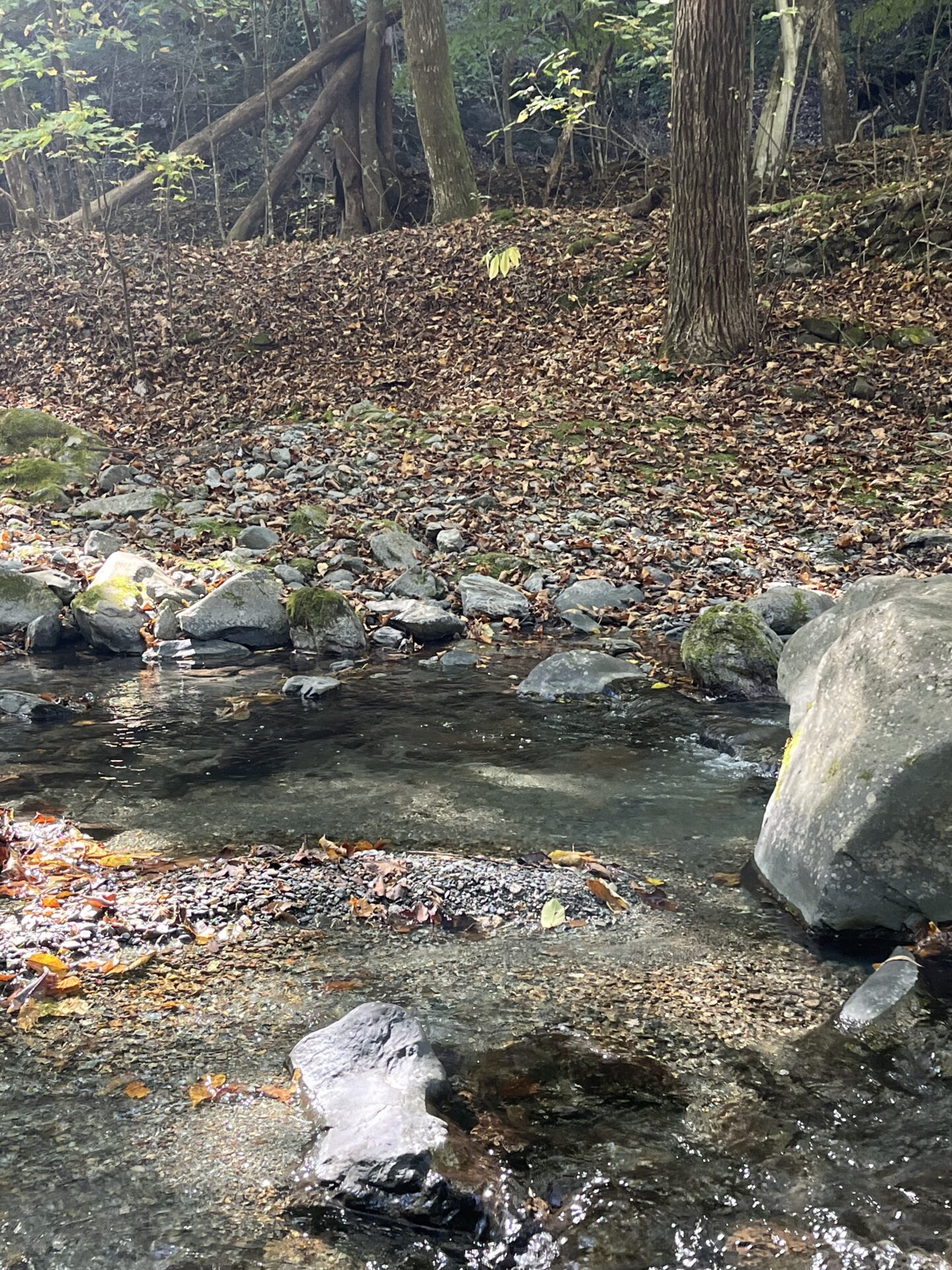 ポイント
山女魚
赤久縄
2025.10.29
10:43